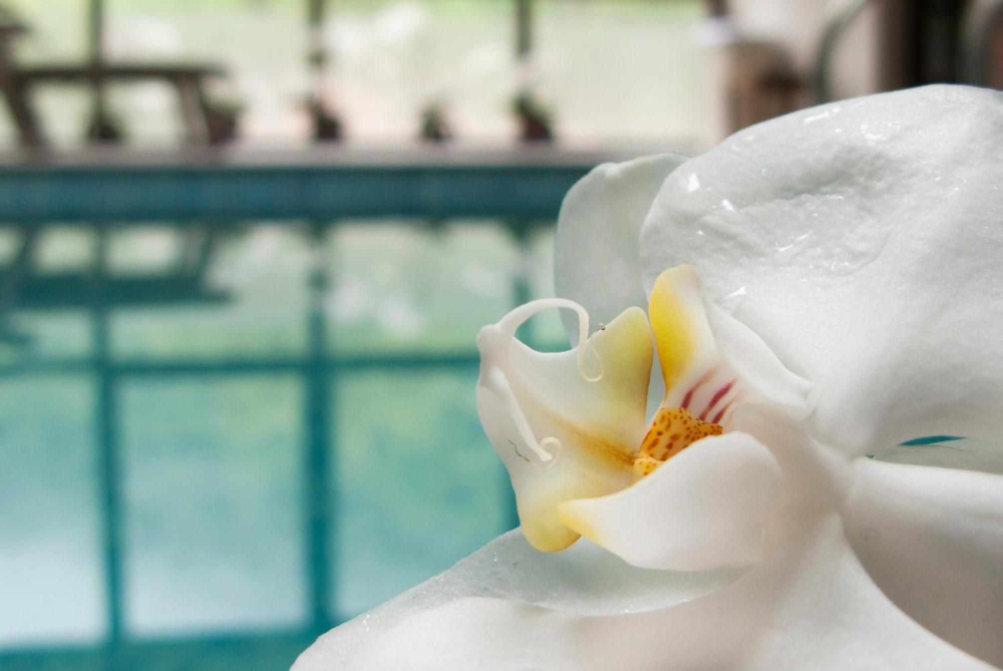 Aqua Varvara Hotel Vetren Dol ภายนอก รูปภาพ